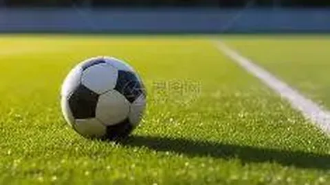 约基奇三双闪耀，掘金击败太阳独占鳌头